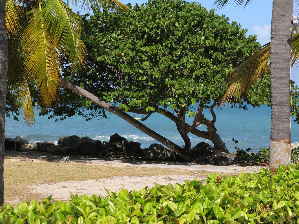 Tamarind Reef Resort Spa & Marina Кристианстед Экстерьер фото